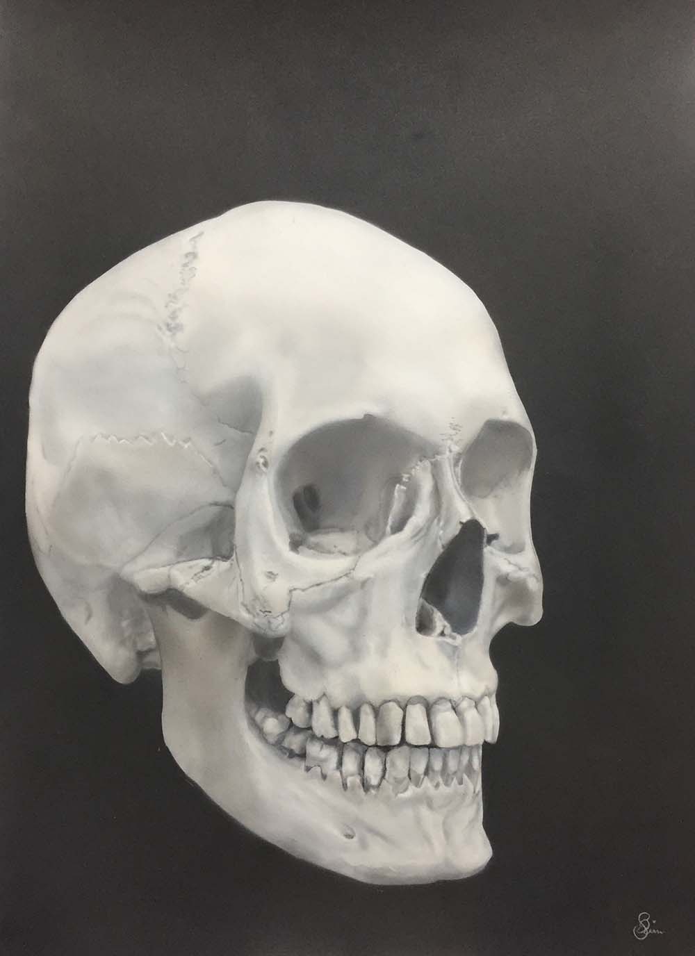 Skull – Airbrushpapier